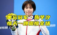 南宫娱乐-德国体操高手实力碾压，轻松勇夺冠军